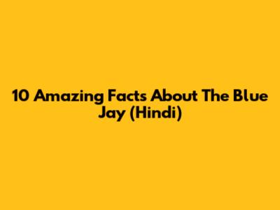 10 Amazing Facts About The Blue Jay (Hindi)