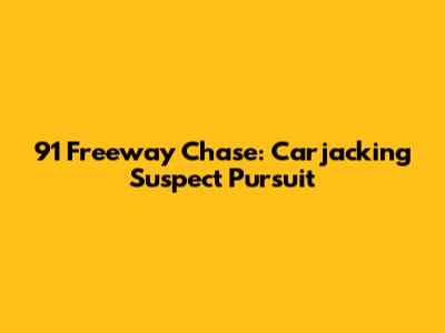 91 Freeway Chase: Carjacking Suspect Pursuit