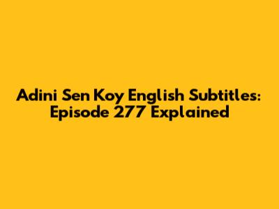 Adini Sen Koy English Subtitles: Episode 277 Explained