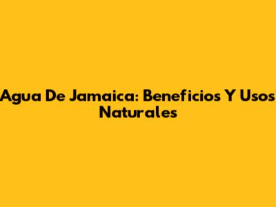 Agua De Jamaica: Beneficios Y Usos Naturales