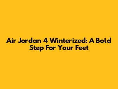Air Jordan 4 Winterized: A Bold Step For Your Feet