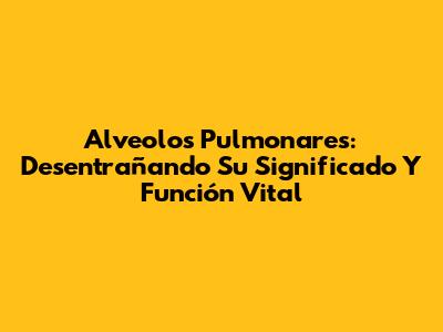 Alveolos Pulmonares: Desentrañando Su Significado Y Función Vital