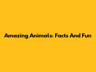 Amazing Animals: Facts And Fun