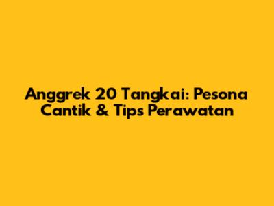 Anggrek 20 Tangkai: Pesona Cantik & Tips Perawatan