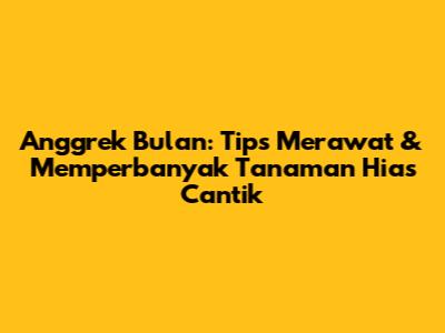 Anggrek Bulan: Tips Merawat & Memperbanyak Tanaman Hias Cantik
