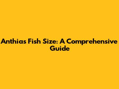 Anthias Fish Size: A Comprehensive Guide