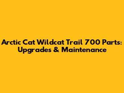 Arctic Cat Wildcat Trail 700 Parts: Upgrades & Maintenance