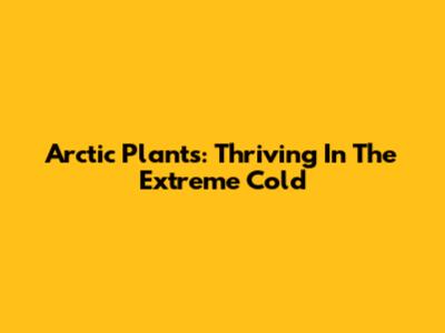 Arctic Plants: Thriving In The Extreme Cold