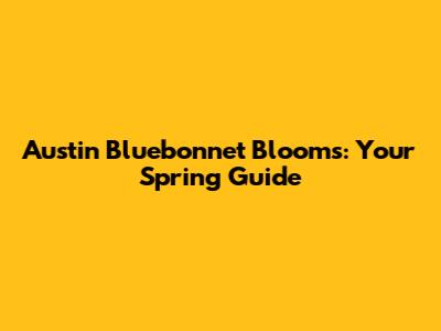 Austin Bluebonnet Blooms: Your Spring Guide