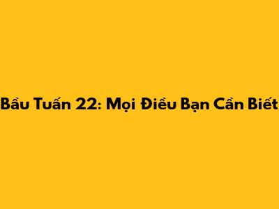 Bầu Tuấn 22: Mọi Điều Bạn Cần Biết