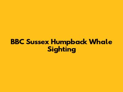 BBC Sussex Humpback Whale Sighting