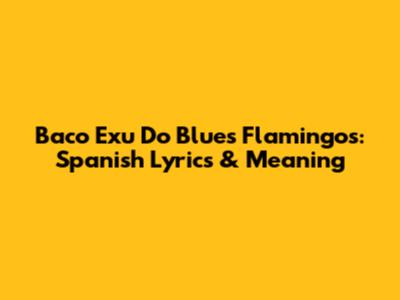 Baco Exu Do Blues Flamingos: Spanish Lyrics & Meaning