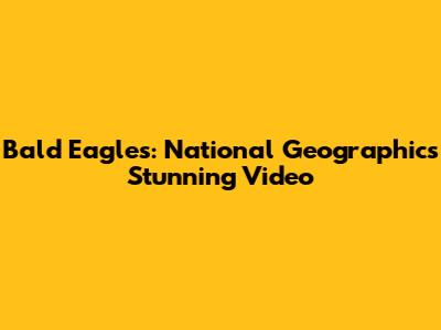 Bald Eagles: National Geographic's Stunning Video