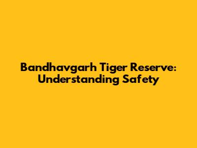 Bandhavgarh Tiger Reserve: Understanding Safety