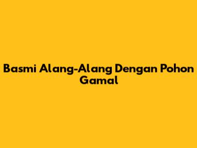 Basmi Alang-Alang Dengan Pohon Gamal