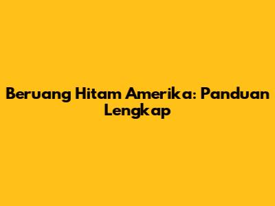Beruang Hitam Amerika: Panduan Lengkap