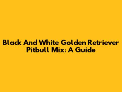 Black And White Golden Retriever Pitbull Mix: A Guide
