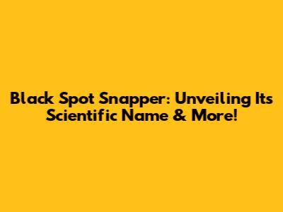 Black Spot Snapper: Unveiling Its Scientific Name & More!