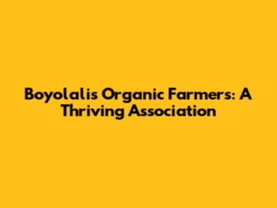 Boyolali's Organic Farmers: A Thriving Association