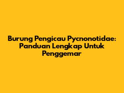 Burung Pengicau Pycnonotidae: Panduan Lengkap Untuk Penggemar