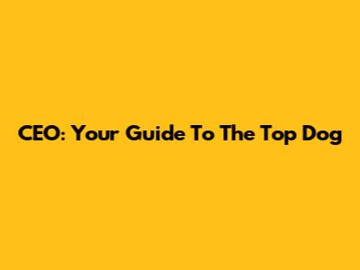 CEO: Your Guide To The Top Dog