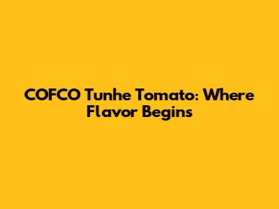 COFCO Tunhe Tomato: Where Flavor Begins
