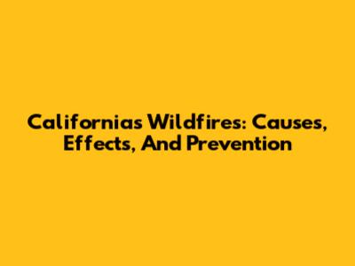 California's Wildfires: Causes, Effects, And Prevention