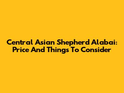 Central Asian Shepherd Alabai: Price And Things To Consider