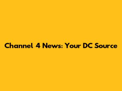 Channel 4 News: Your DC Source