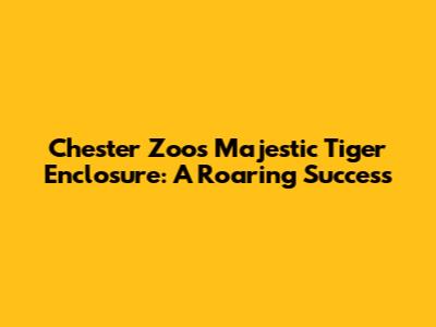 Chester Zoo's Majestic Tiger Enclosure: A Roaring Success