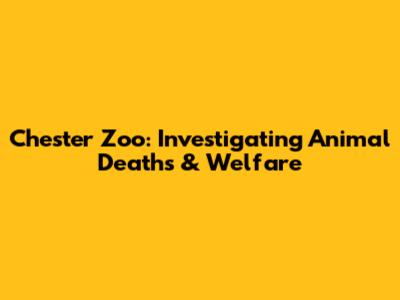 Chester Zoo: Investigating Animal Deaths & Welfare
