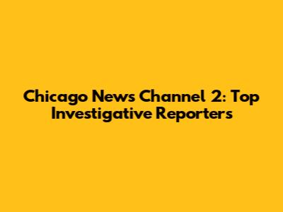Chicago News Channel 2: Top Investigative Reporters