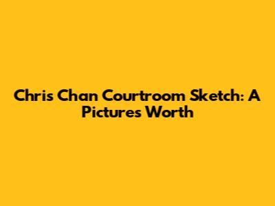 Chris Chan Courtroom Sketch: A Picture's Worth