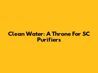 Clean Water: A Throne For SC Purifiers