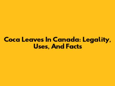 Coca Leaves In Canada: Legality, Uses, And Facts