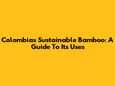 Colombia's Sustainable Bamboo: A Guide To Its Uses