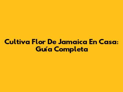 Cultiva Flor De Jamaica En Casa: Guía Completa