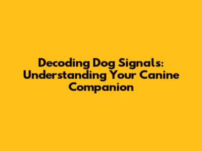 Decoding Dog Signals: Understanding Your Canine Companion