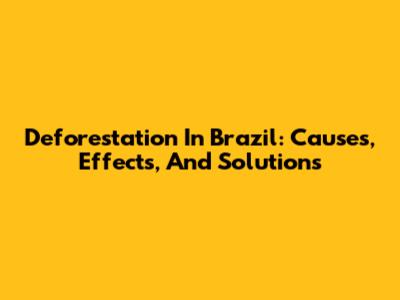 Deforestation In Brazil: Causes, Effects, And Solutions