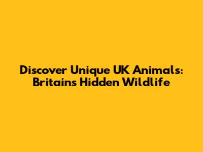 Discover Unique UK Animals: Britain's Hidden Wildlife