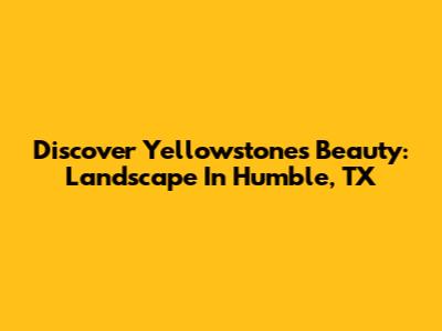 Discover Yellowstone's Beauty: Landscape In Humble, TX