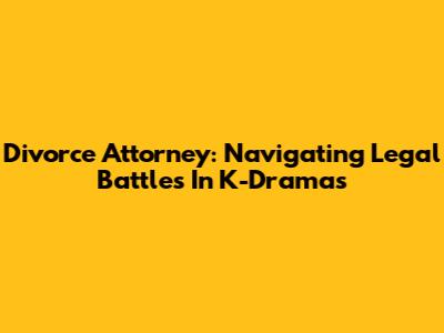 Divorce Attorney: Navigating Legal Battles In K-Dramas