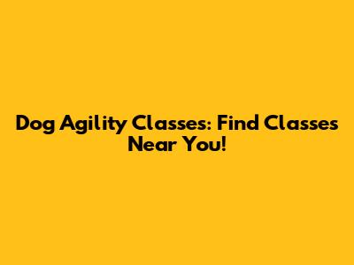 Dog Agility Classes: Find Classes Near You!