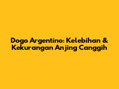 Dogo Argentino: Kelebihan & Kekurangan Anjing Canggih
