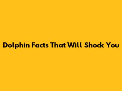 Dolphin Facts That Will Shock You