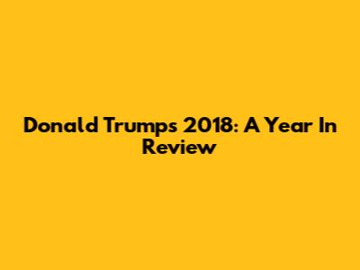 Donald Trump's 2018: A Year In Review