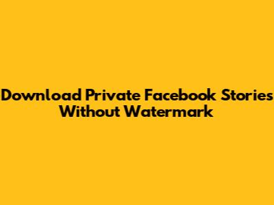 Download Private Facebook Stories Without Watermark
