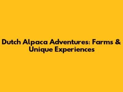 Dutch Alpaca Adventures: Farms & Unique Experiences