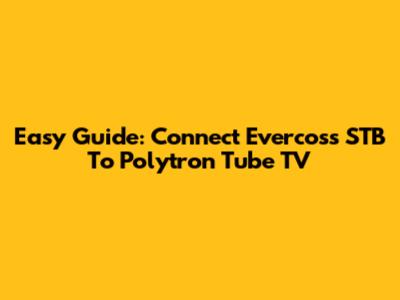 Easy Guide: Connect Evercoss STB To Polytron Tube TV