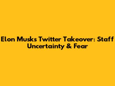 Elon Musk's Twitter Takeover: Staff Uncertainty & Fear